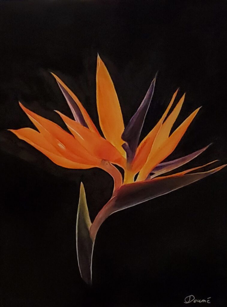 Peinture aquarelle d'une fleur dans des tons très saturés