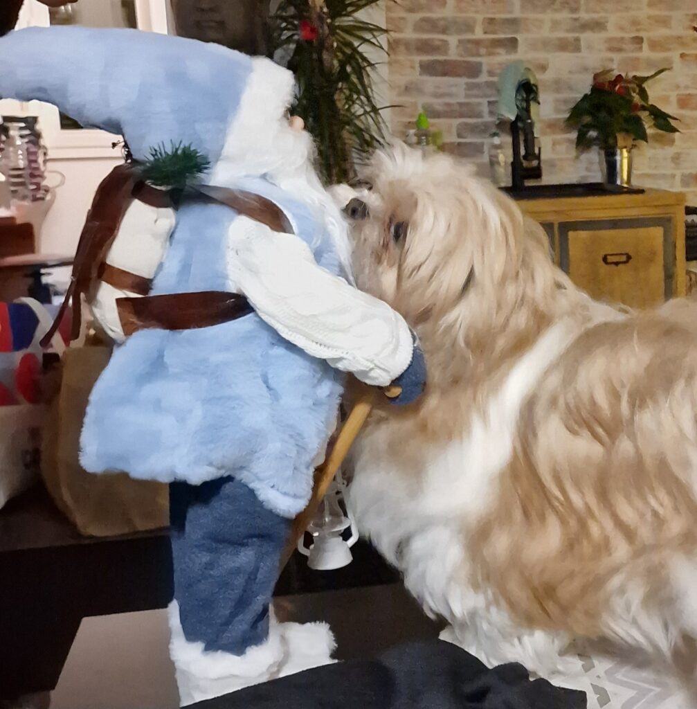 Olya, près d’un Père Noël
