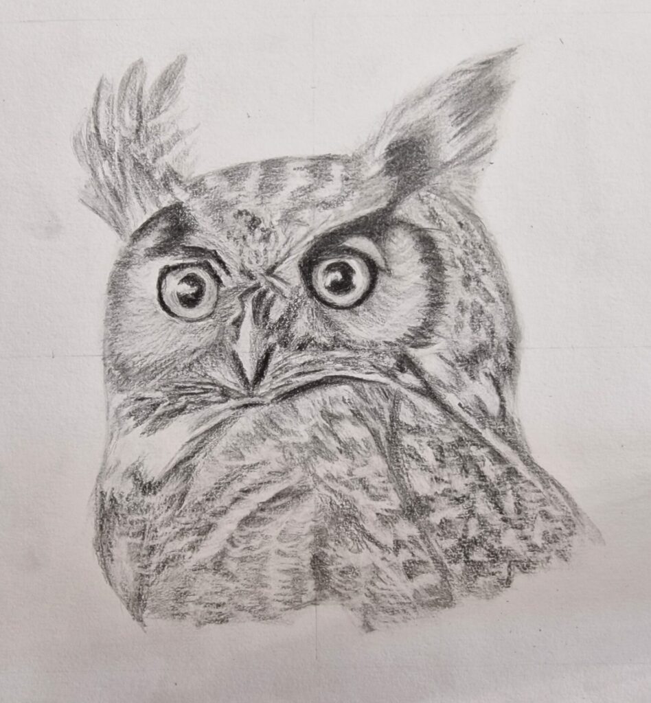 Portrait de hibou réalisé au crayon graphite, avec travail des ombres et des textures du plumage.